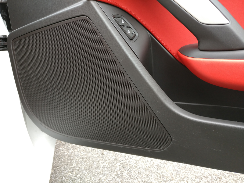 Passenger Door Scuffs